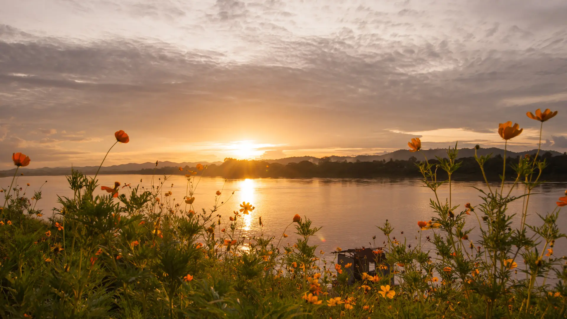 Sunrise